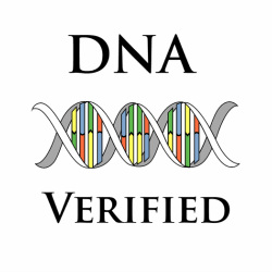 DNA Verified Image